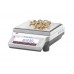 Mettler JE3002GM